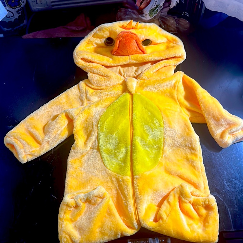 Ducky pajamas/costume